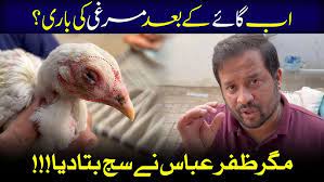 chicken-infectious-disease-in-Pakistan-2023