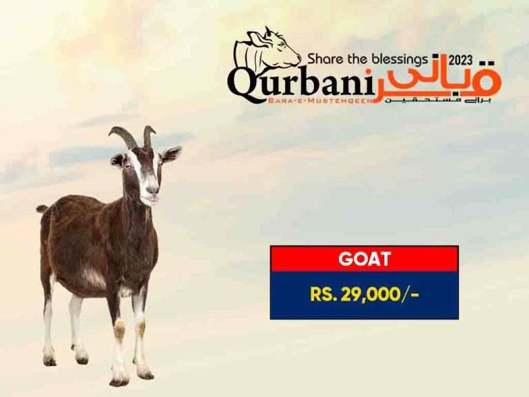 Qurbani 2023 Donate Qurbani Online